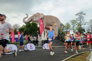 BIB: 
                            <button type="button" onclick="openModal(26528286)" class="btn btn-primary btn-sm float-right btn-popup" data-toggle="modal" data-target=".modal-high-quality">
                        <i class="fas fa-shopping-cart"></i> Add to Cart
                    </button>
                                            <button type="button" onclick="isThisMe(26528286, true)" class="btn btn-success btn-sm float-right btn-popup btn-isme hidden" data-toggle="tooltip" data-placement="bottom" title="นี่คือรูปของคุณใช่ไหม คลิกที่นี่เพื่อเอาเข้าอัลบั้ม">
                        <i class="fas fa-plus"></i> Add to album
                    </button>
                    <button type="button" onclick="isThisMe(26528286, false)" class="btn btn-warning btn-sm float-right btn-popup btn-isnotme hidden">
                        <i class="fas fa-ban"></i> Remove from album
                    </button>